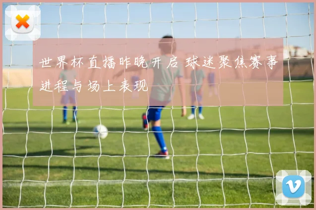 世界杯直播昨晚开启 球迷聚焦赛事进程与场上表现