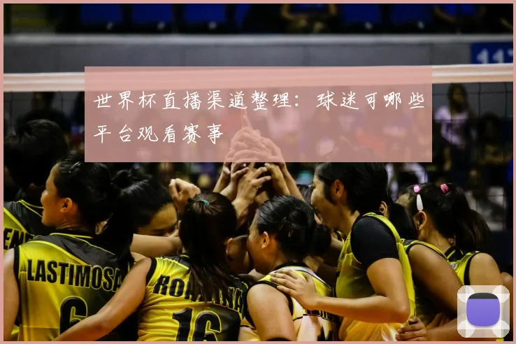 世界杯直播渠道整理:球迷可哪些平台观看赛事