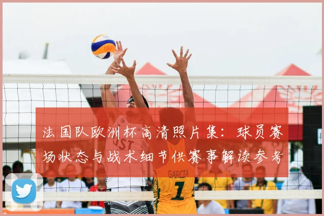 法国队欧洲杯高清照片集：球员赛场状态与战术细节供赛事解读参考