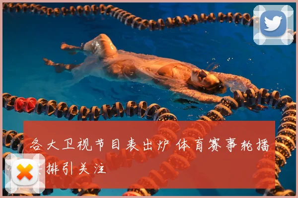 各大卫视节目表出炉 体育赛事轮播安排引关注