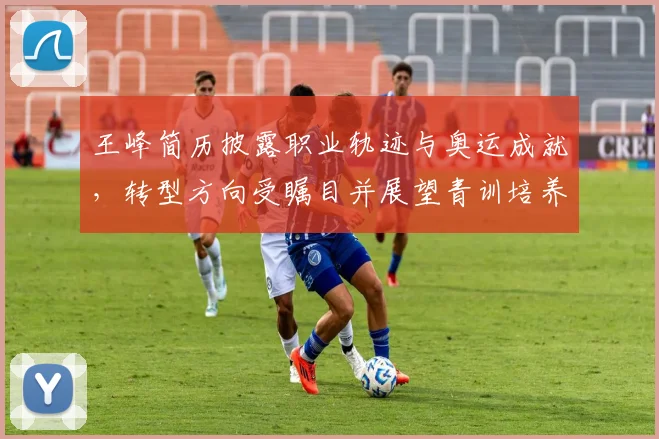 王峰简历披露职业轨迹与奥运成就,转型方向受瞩目并展望青训培养影响