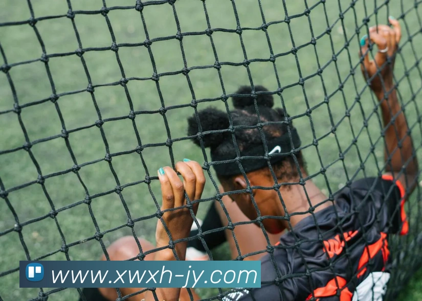 多媒体互动体验